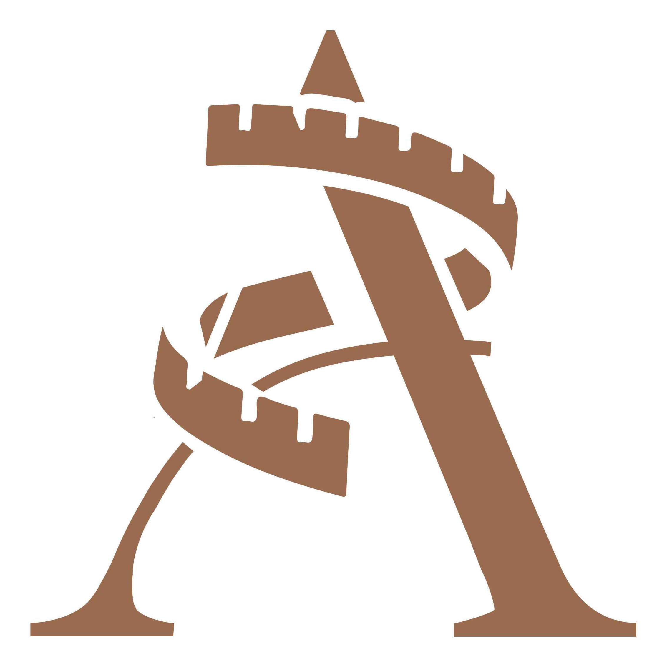 araafit.com favicon